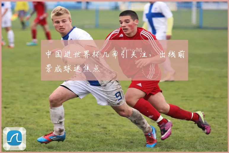 中国进世界杯几率引关注，出线前景成球迷焦点