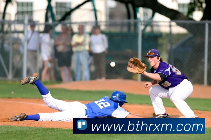 开体育app官网下载最新版平台生态图